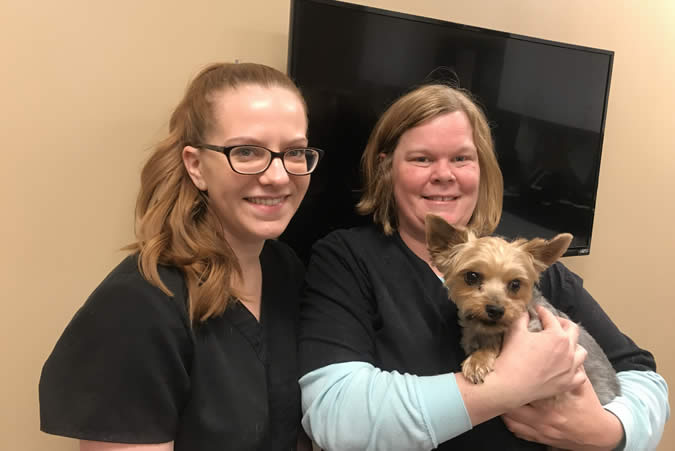 Veterinarians with small dog 